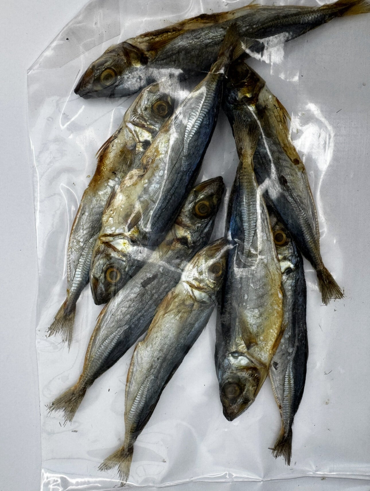 Dry Fish / Galunggong