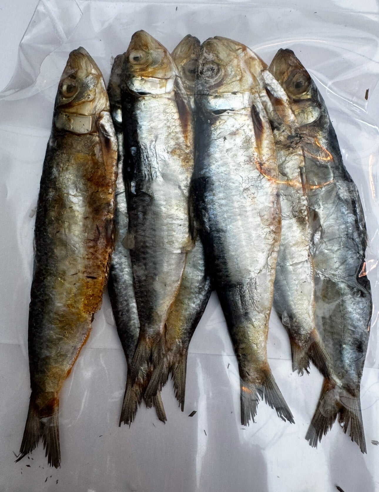 Dried Fish / Tawilis / Sardines / tamban