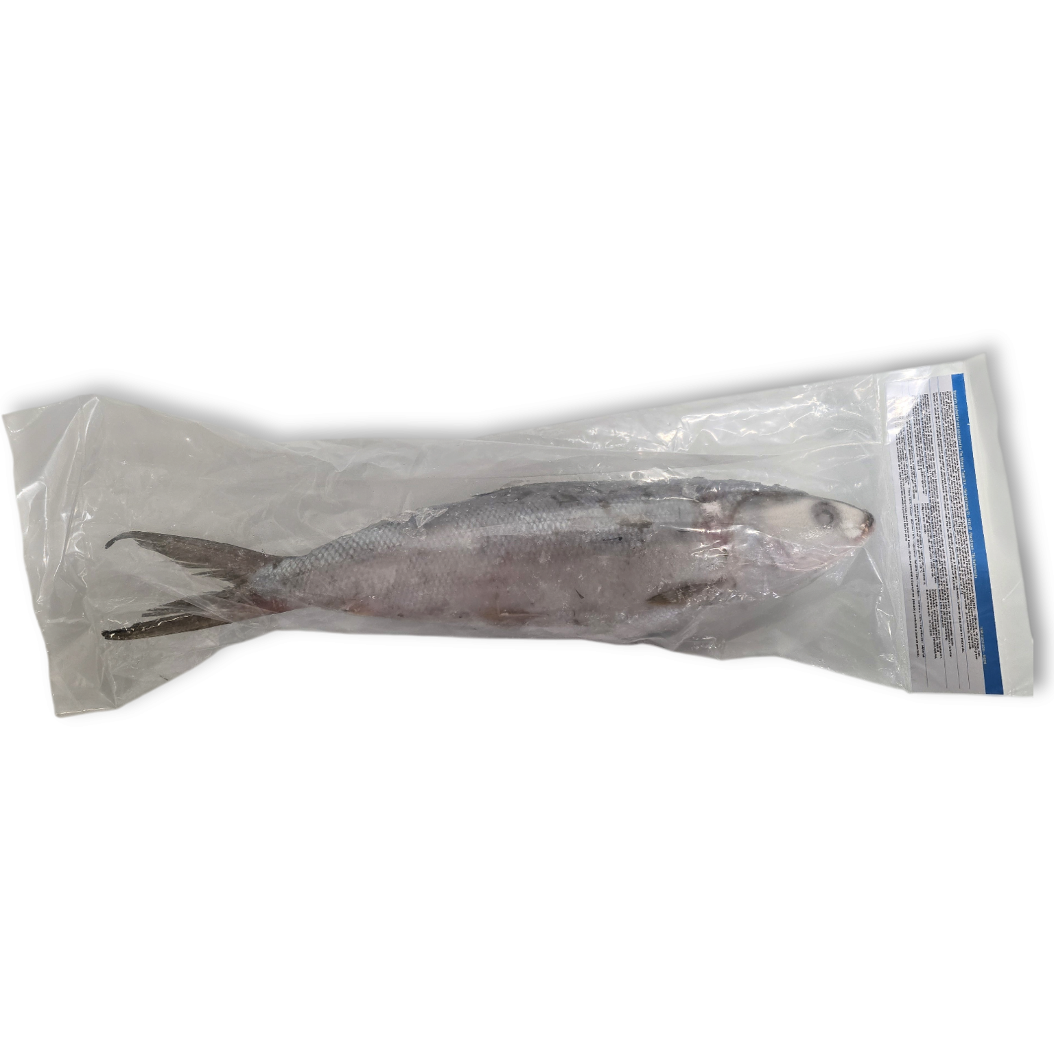 Bangus / Milkfish €3.50/piece