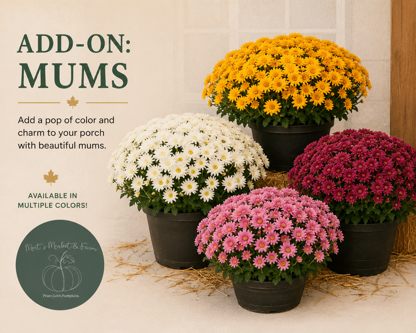 Mums - add on only