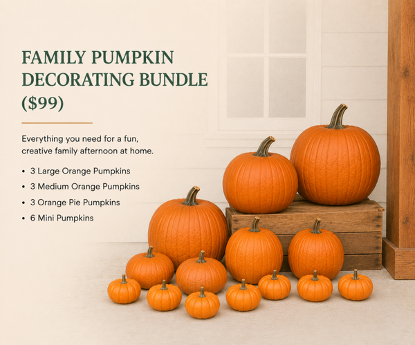Family Pumpkin Decorating Bundle ($99)