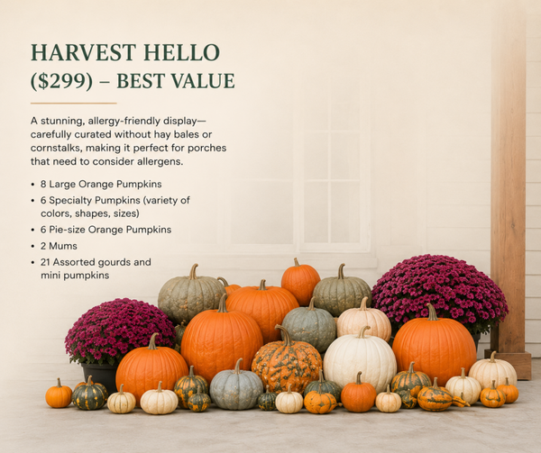 Harvest Hello ($299) - Allergy Friendly!