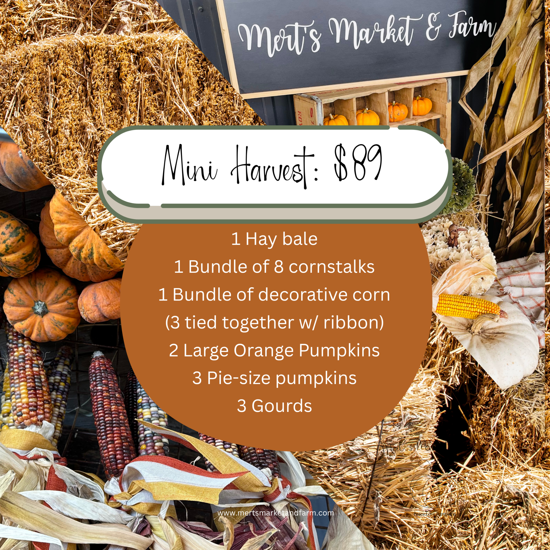 Mini Harvest ($89)