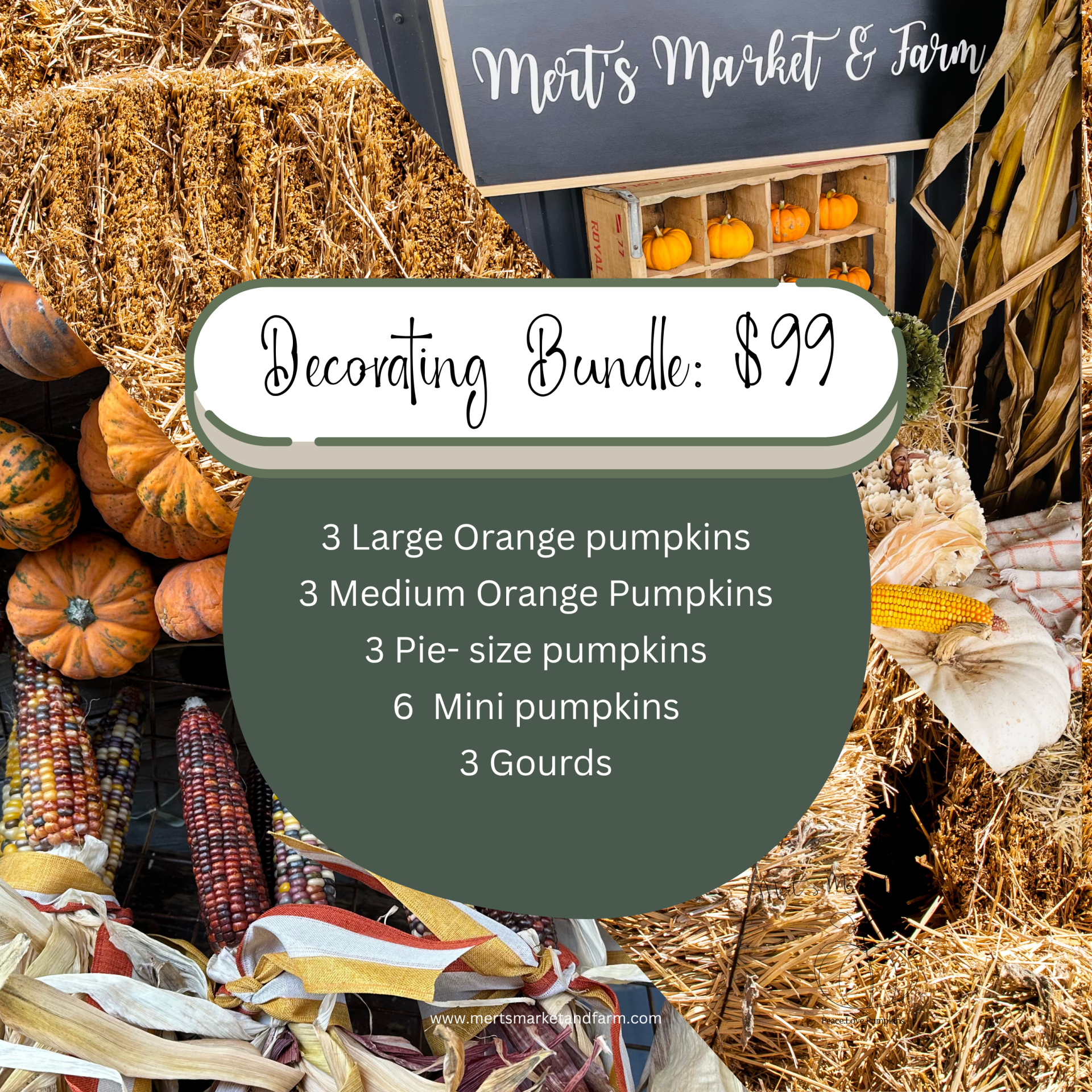 Family Pumpkin Decorating Bundle ($99)