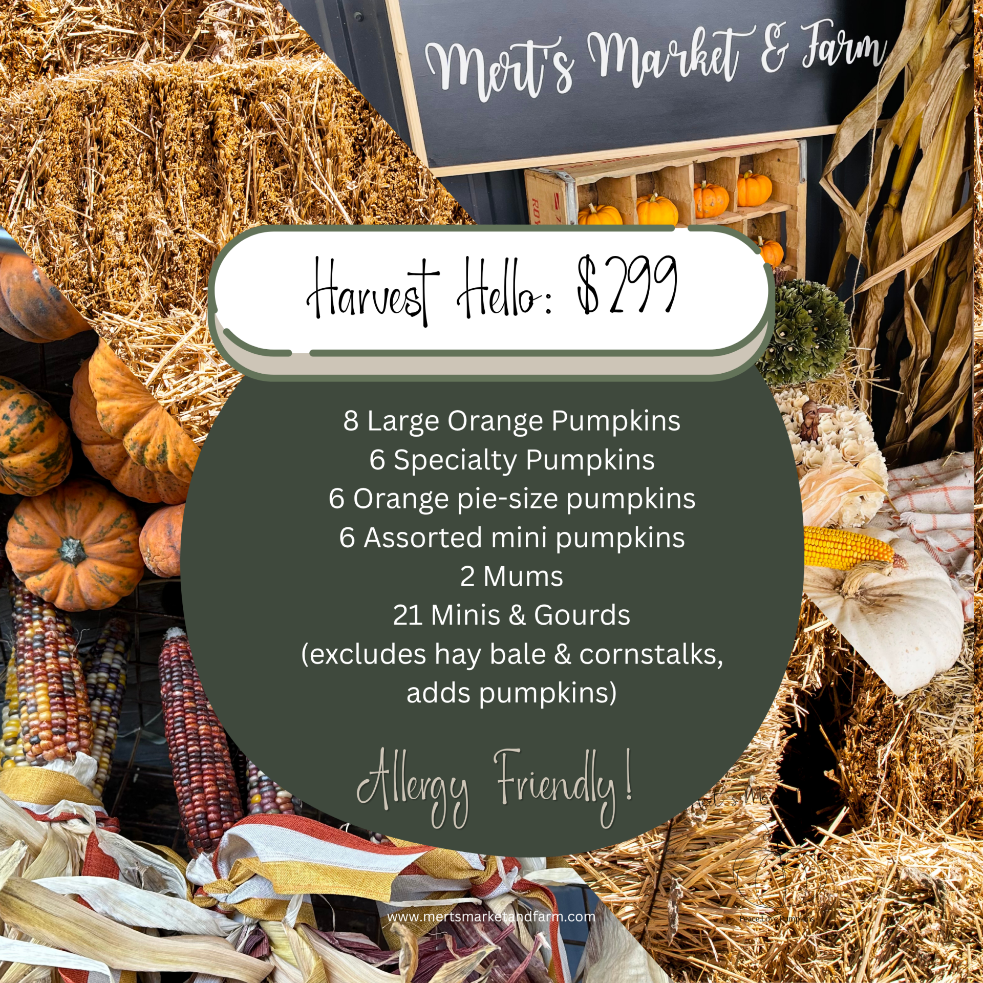 Harvest Hello ($299) - Allergy Friendly!