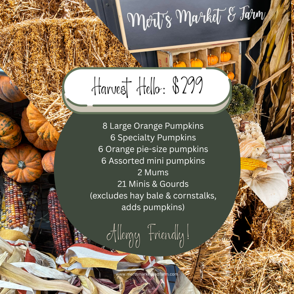 Harvest Hello ($299) - Allergy Friendly!
