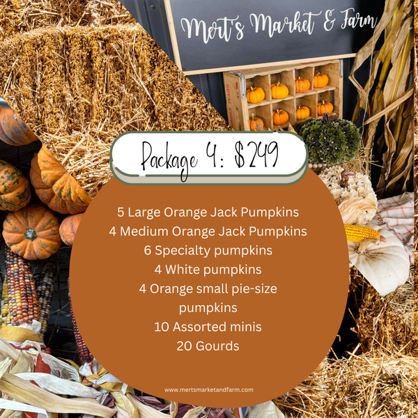 DIY Porch Package 4