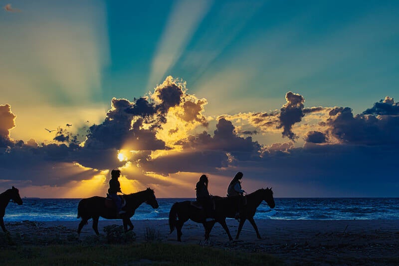 Cavalli al tramonto