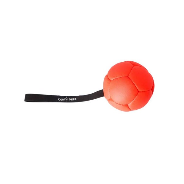 CaniTess opblaasbare Bal met Handvat 13cm