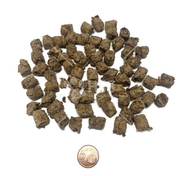 konijn drop trainers