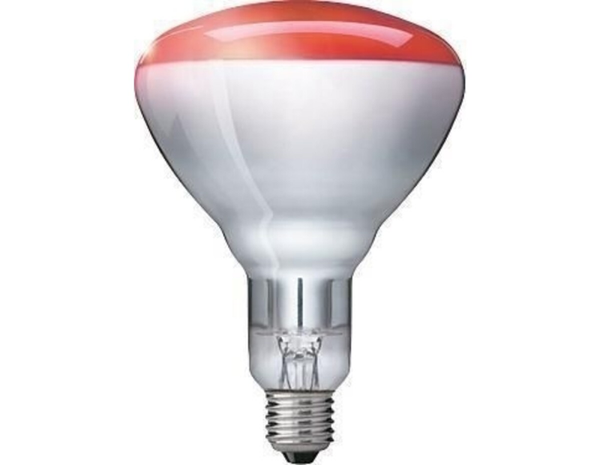 Philips warmelamp rood e27 150 wat