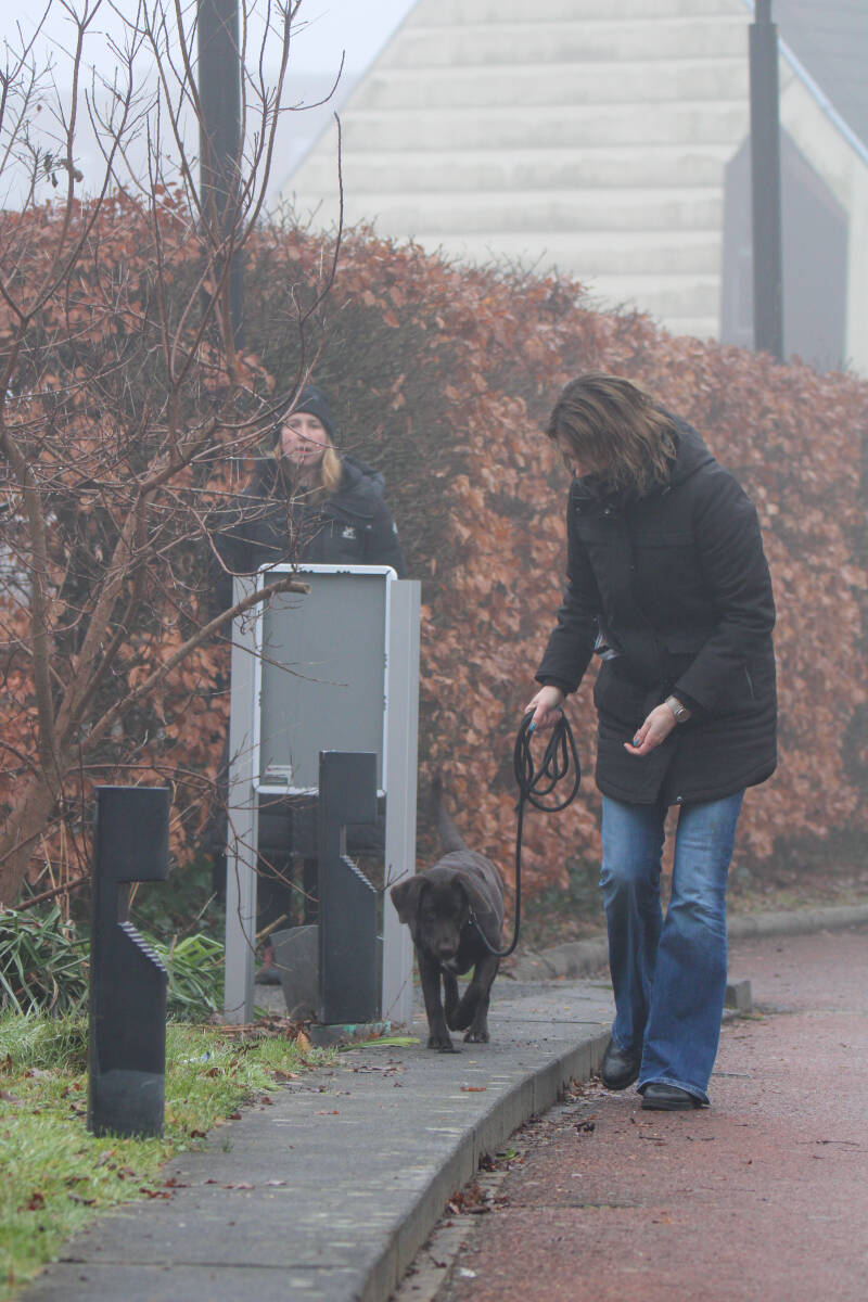 Hondenschool Oosterwolde puppycursus  oosterwolde friesland  Assen  Drenthe