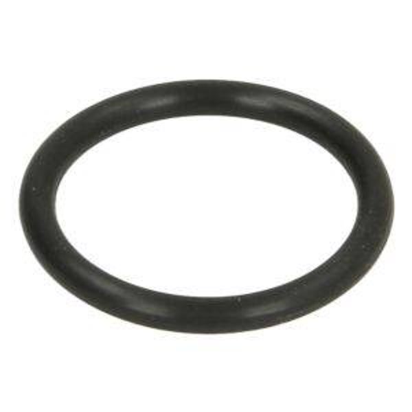 Scania-Thermostat Dichtring 1494100