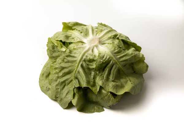 INSALATA CAPPUCCINA KG