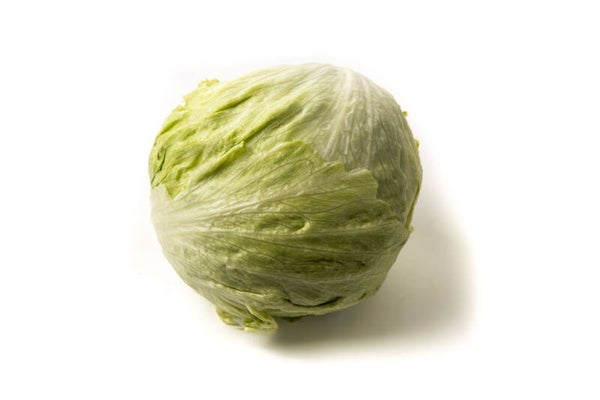 INSALATA ICEBERG NUM