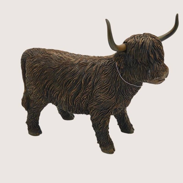 Schotse hooglander staand