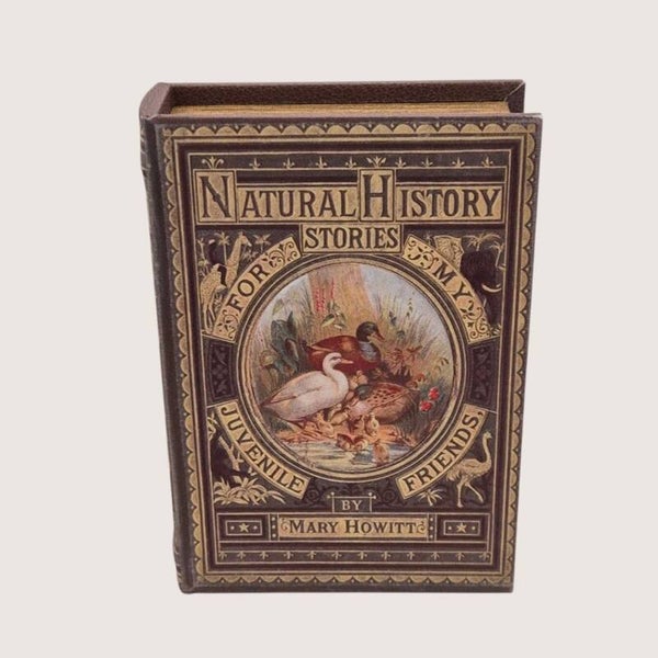 Boekkist Natural history