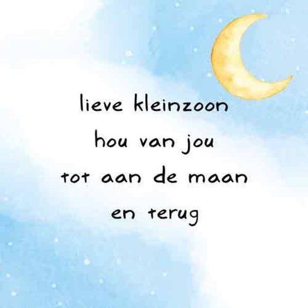 Natuurstenen tegel nr. 1546