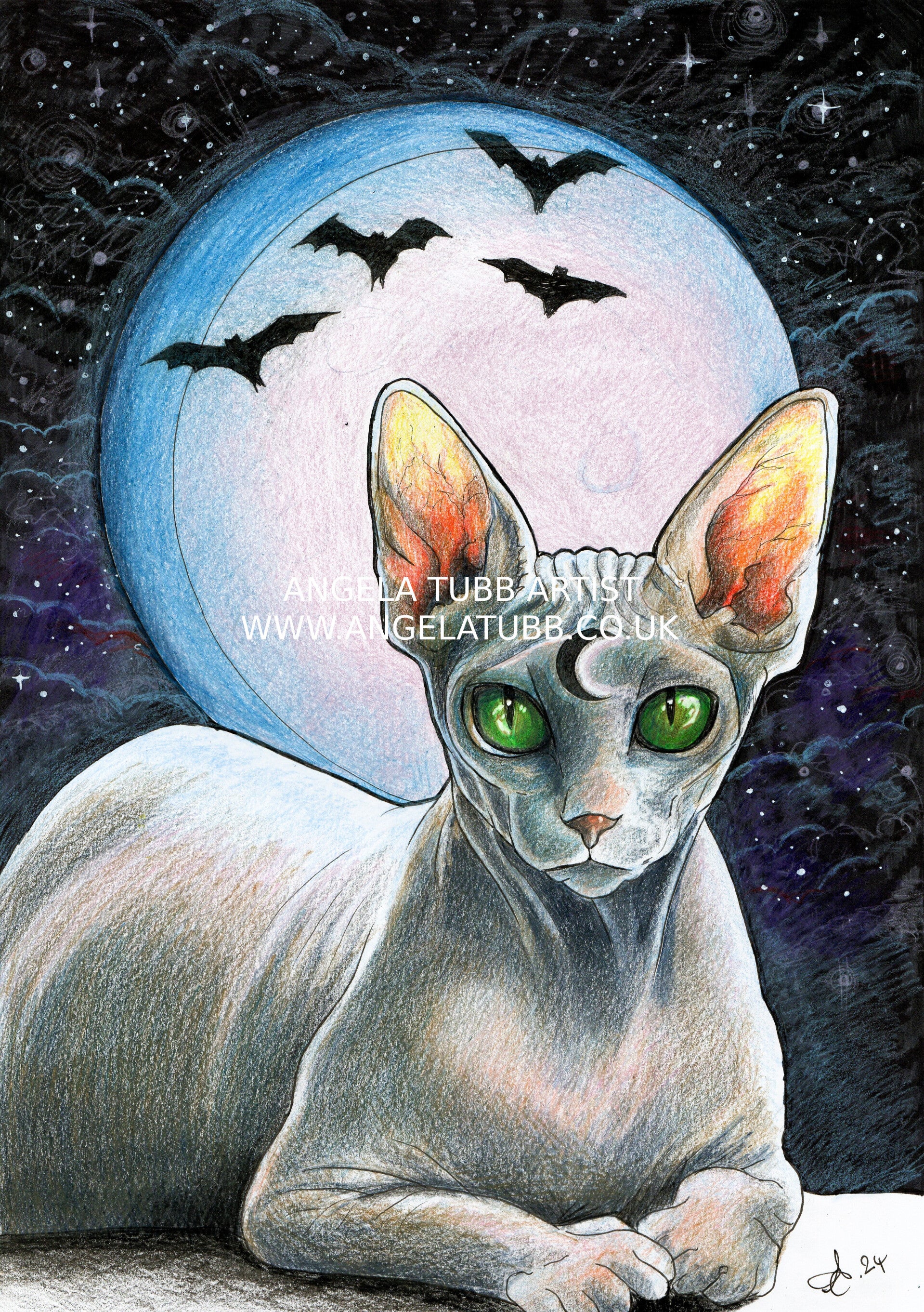 Sphynx Cat and Moon