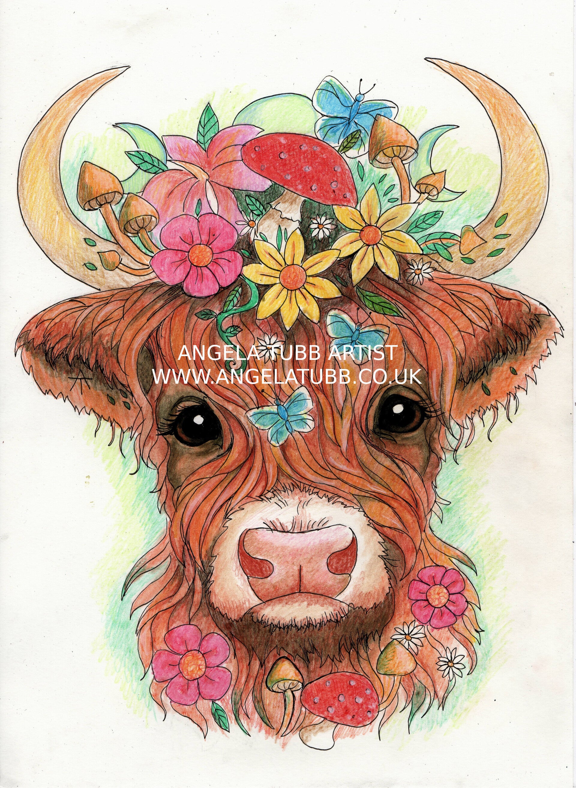 HIGHLAND Cow with flowers