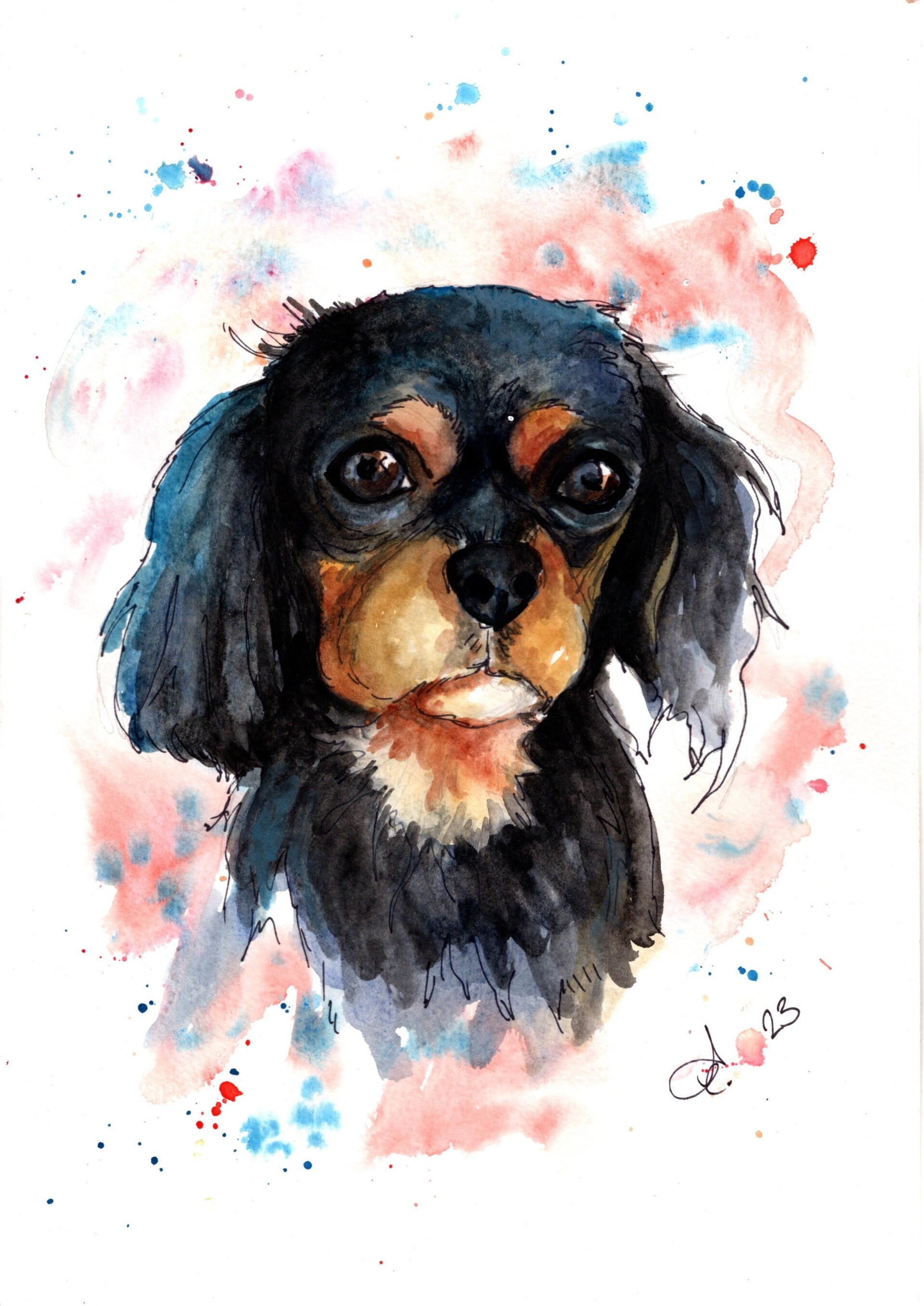 King Charles Spaniel