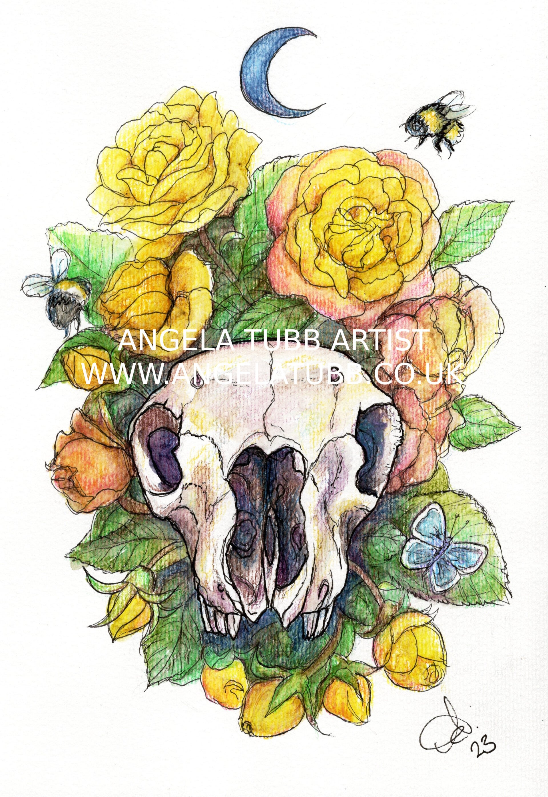 Lamb Skull (run free little lamb)