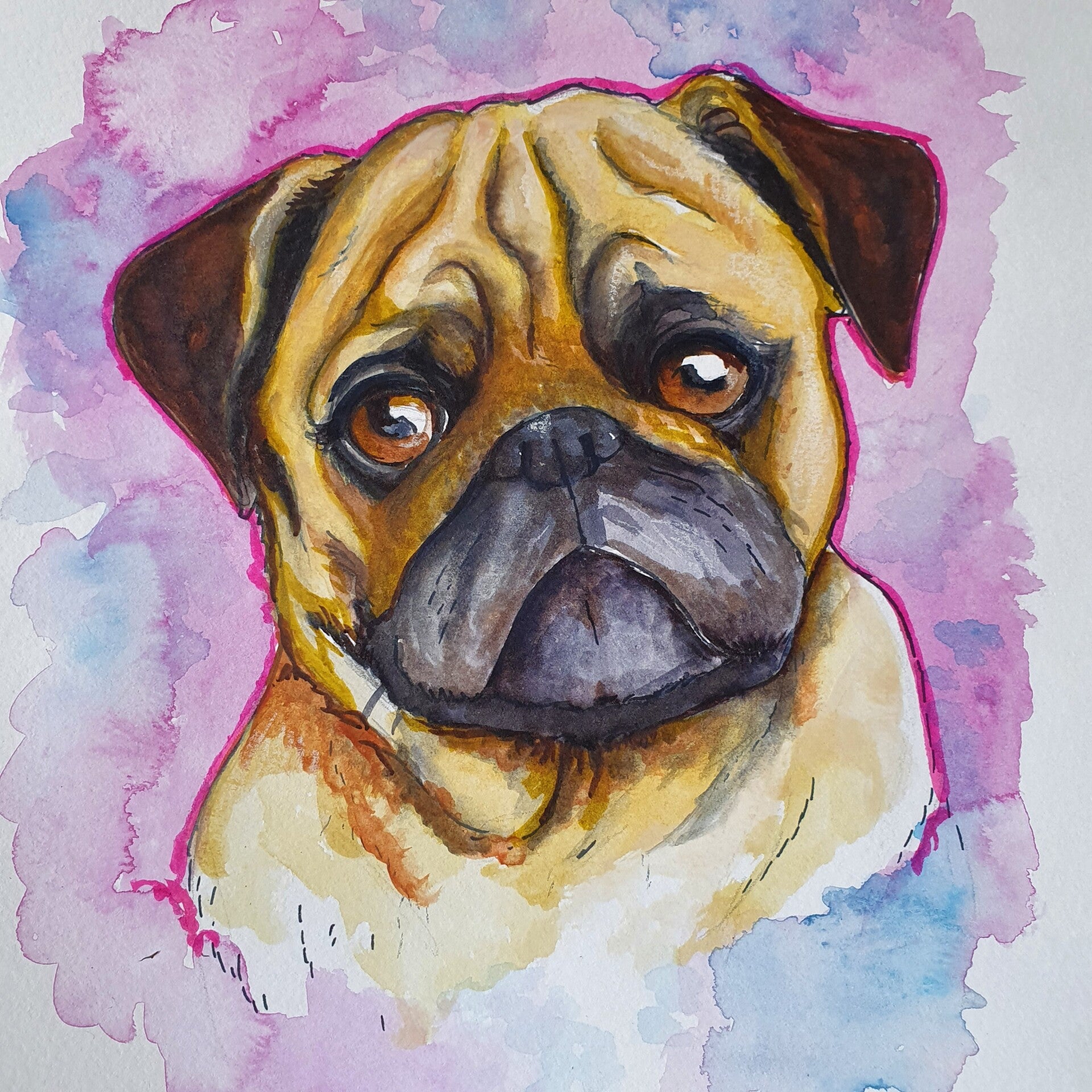 Pug