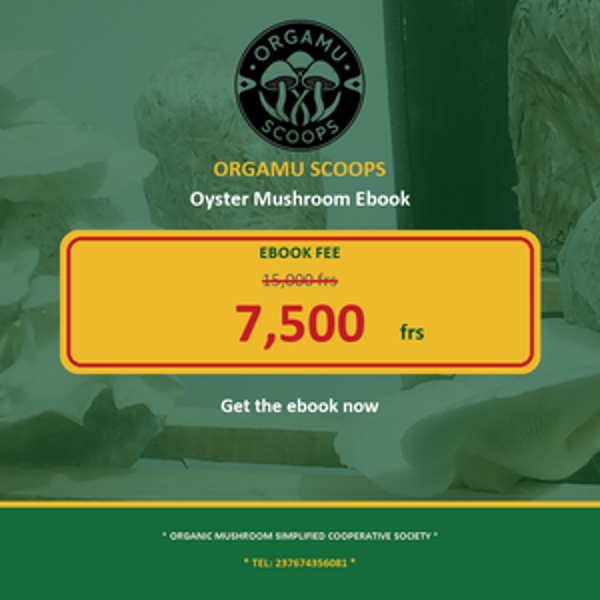 ORGAMU SCOOPS | Oyster Mushroom Production Ebook (Formula, Bags & Harvest)