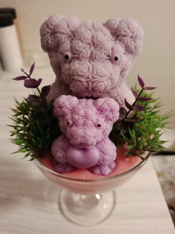 Gros ours et son petit