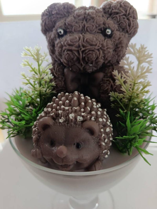 Gros ours et herisson