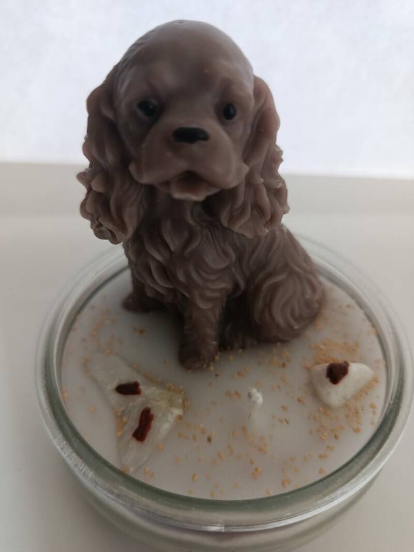 Contenant chien