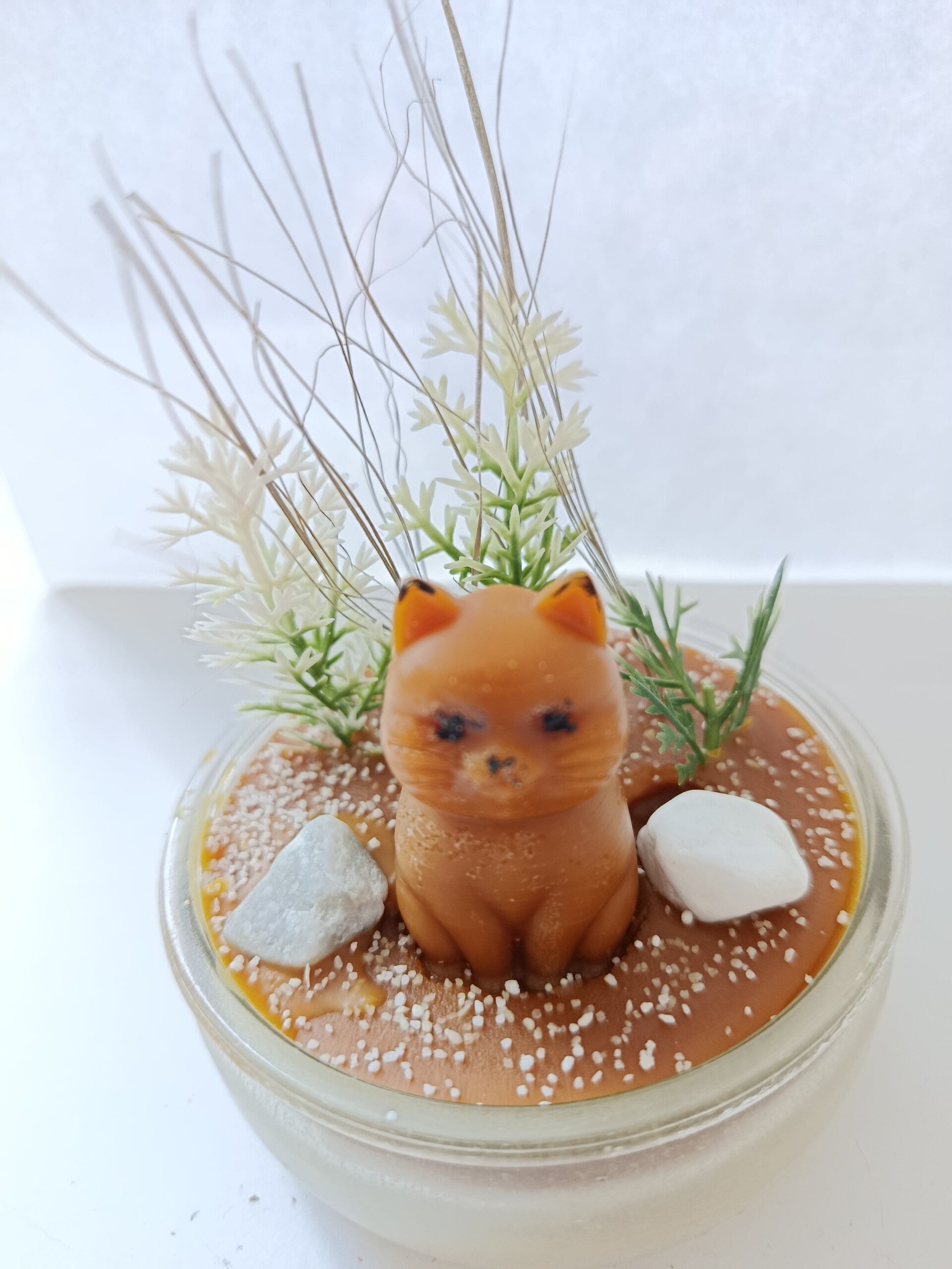 Chat 🐱 1