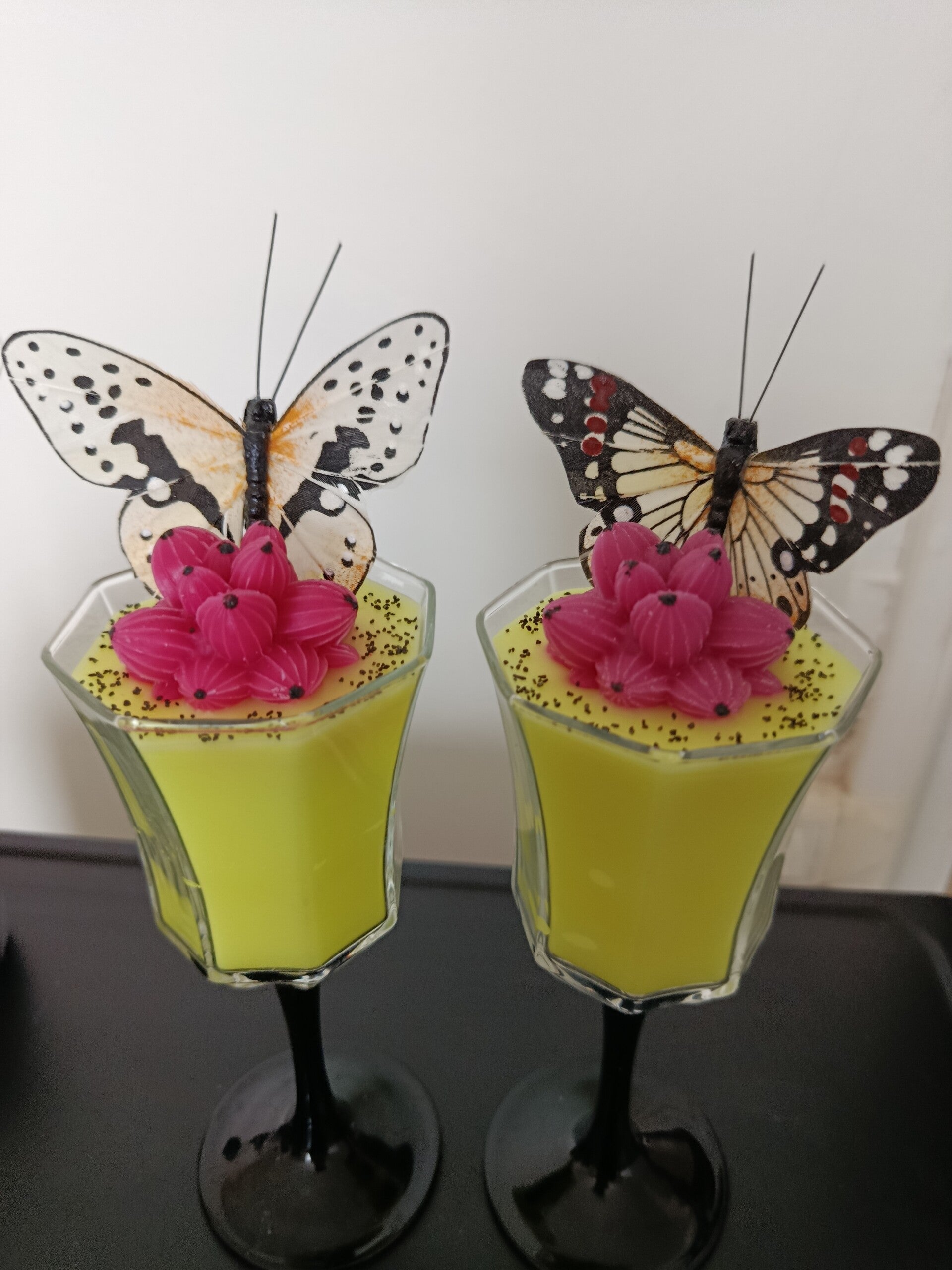 Verre papillon 🦋 cactus 🌵