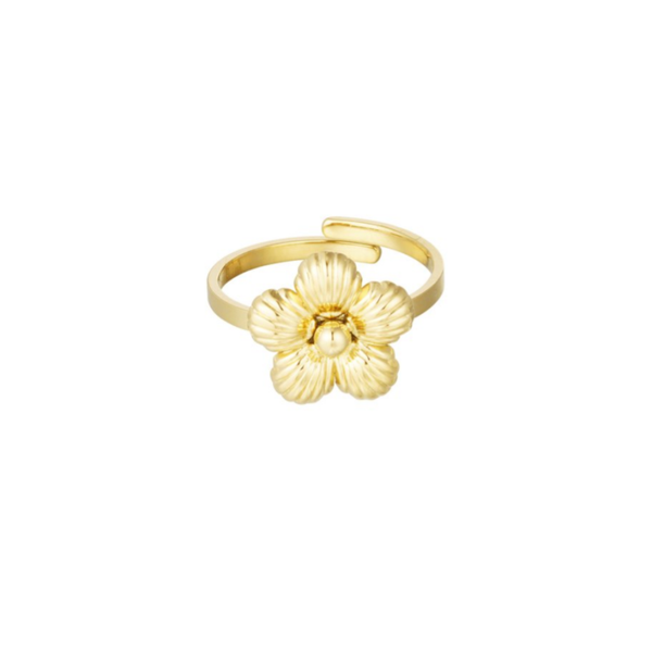 Ring Bless