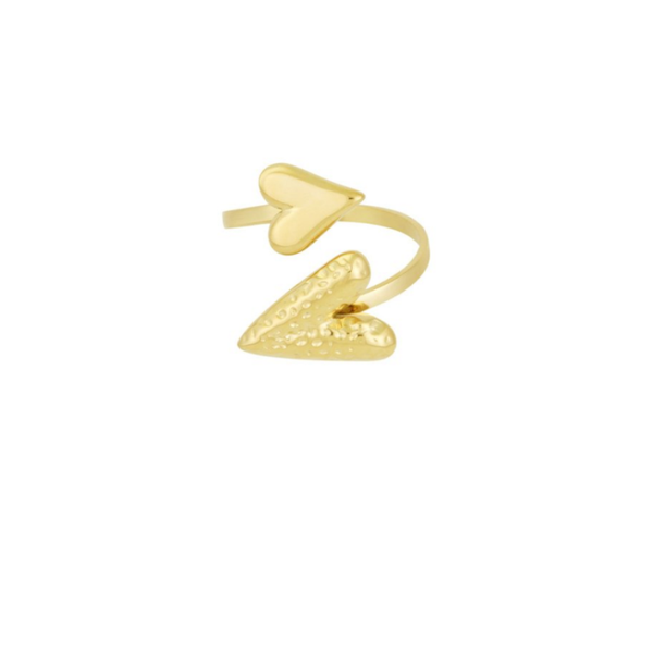 Ring Dual