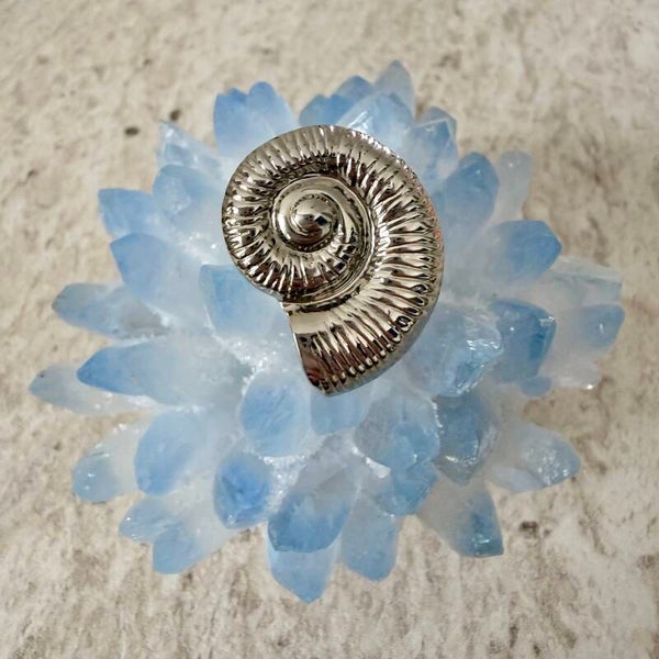 Silver shell ring