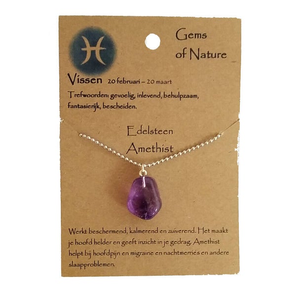 Sterrenbeeld ketting vissen