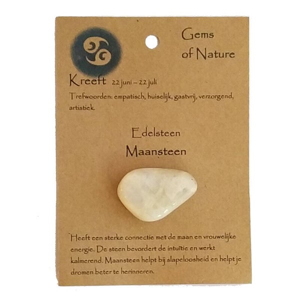 Sterrenbeeld steen kreeft