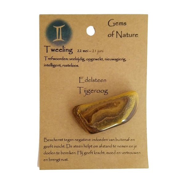 Sterrenbeeld steen tweeling