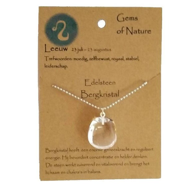 Sterrenbeeld ketting leeuw