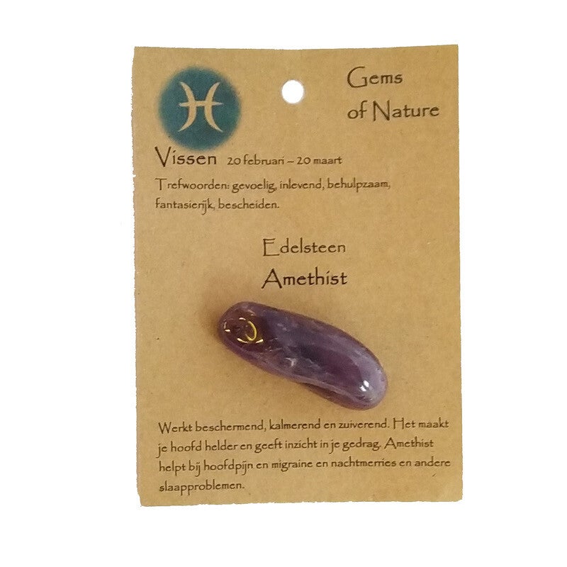 Sterrenbeeld steen vissen