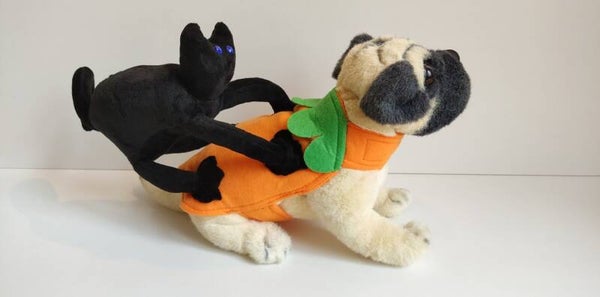 Cat-attack outfit halloween