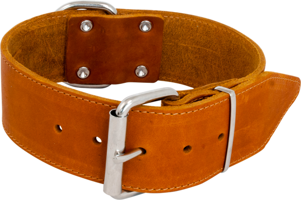 Vet lederen halsband cognac