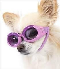 Doggles roze-paars large