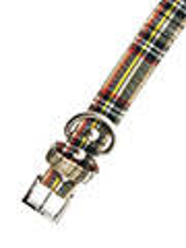 Collar Urban Tartan Beige