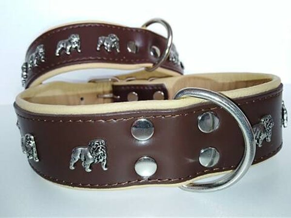 LEDER COLLAR  Engelse Bulldog Anglais