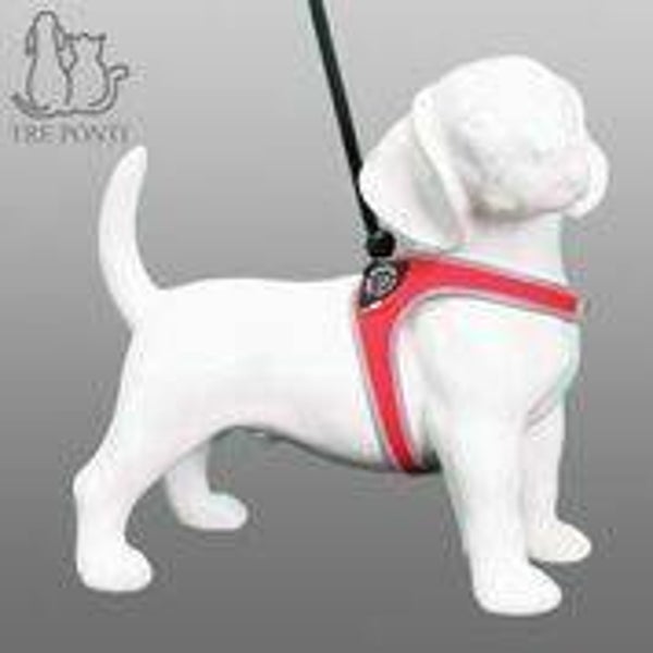 Treponti koord Reflecterend rood