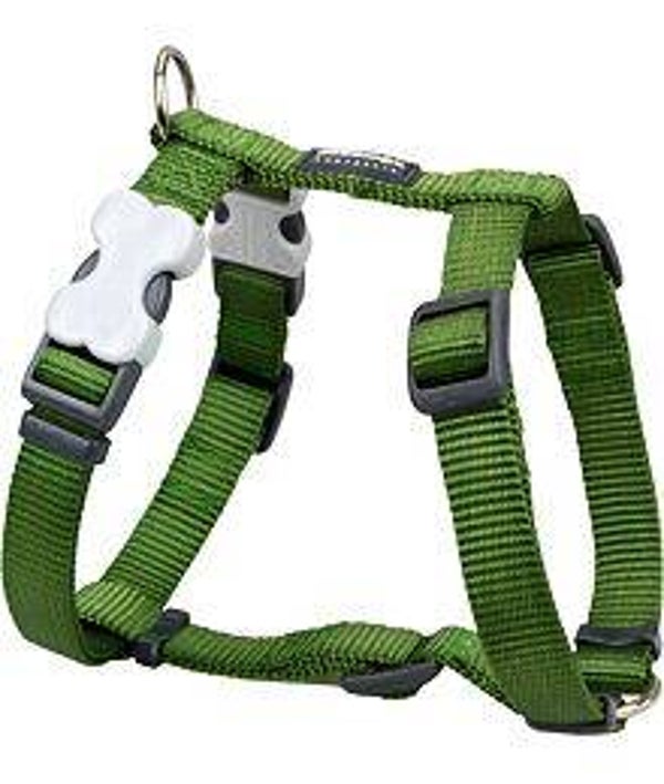 RED DINGO nylon Y-TUIGJE groen