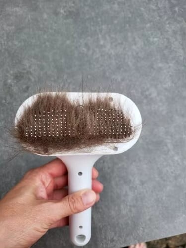 Stoom Pinnen-Borstel