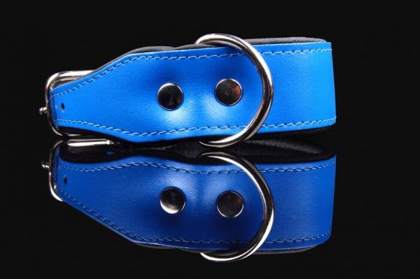 LEDER Classic Collar blauw/zwart CUIR 50mm